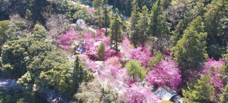 南投森之秘汤图片