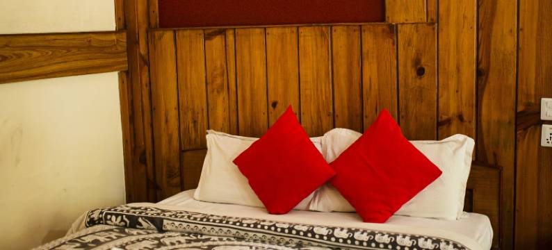 奇特旺河滨度假村(Chitwan Riverside Resort)图片