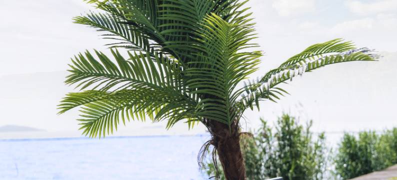 花筑·初恋遇见你·一线湖景私汤民宿(太湖横山岛店)图片