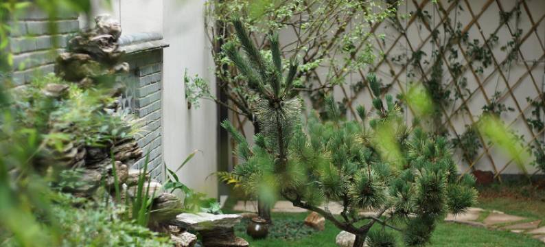 归园田居·热海硫磺温泉私汤民宿图片