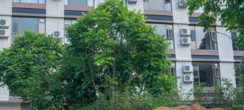 清远乐龙温泉民宿图片