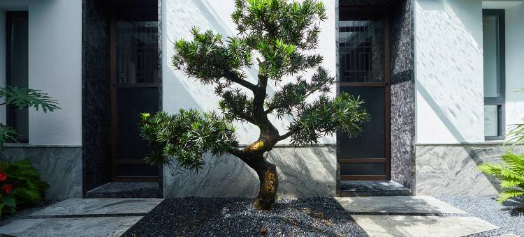 义井第·岭南庭院(潮州古城牌坊街店)图片