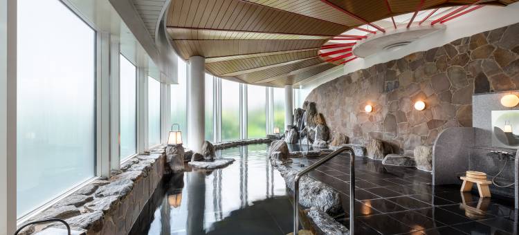 福冈海鹰希尔顿酒店(Hilton Fukuoka Sea Hawk)图片