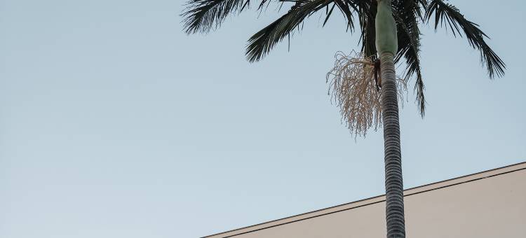 湄洲岛湄屿宿集·如昨民宿(妈祖文化论坛店)图片