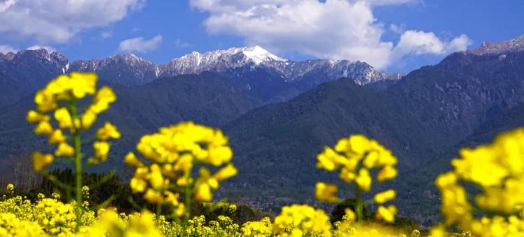 腾冲腾泸宾馆图片