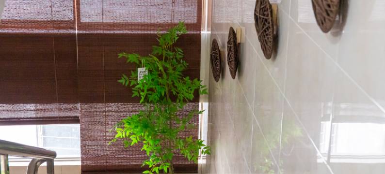 我家民宿(逢简水乡店)图片