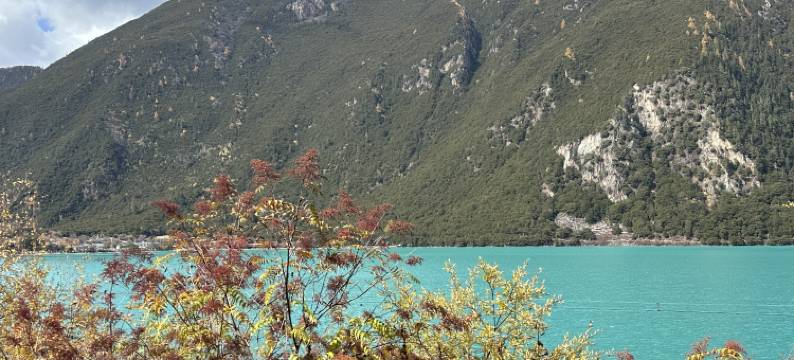 雪莲花富氧观景酒店(拉萨布达拉宫店)图片