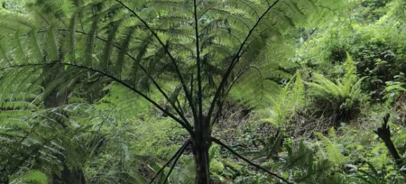 安之若宿·山全景温泉设计师民宿(腾冲和顺店)图片