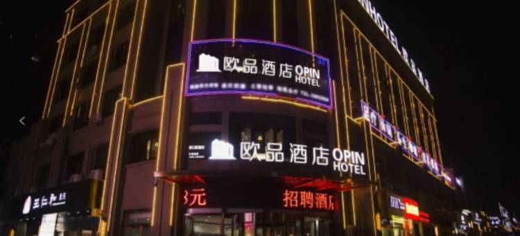 枞阳欧品酒店图片