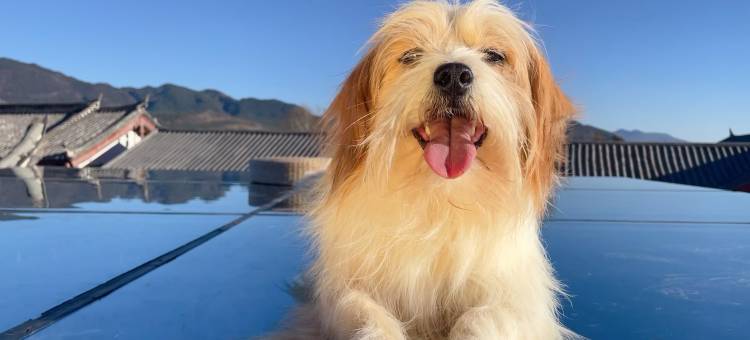 花筑·阳光三地丨Cloud天空之境·落日晚霞观景美宿(束河古镇店)图片