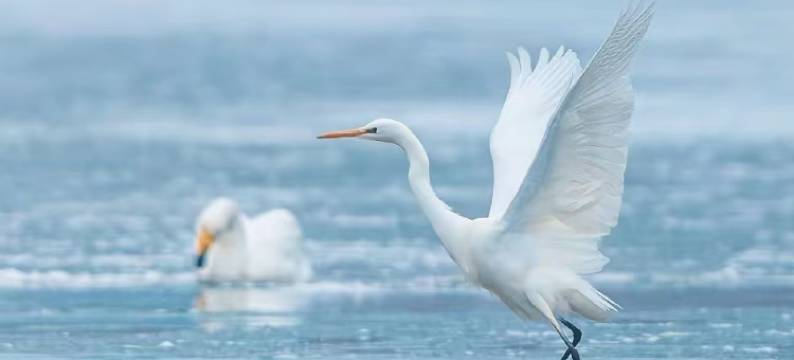 简诺印记酒店(库尔勒站巴州博物馆中心店)图片