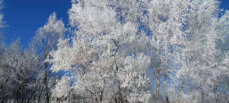 凇园宾馆(逊克大平台雾凇风景区店)图片