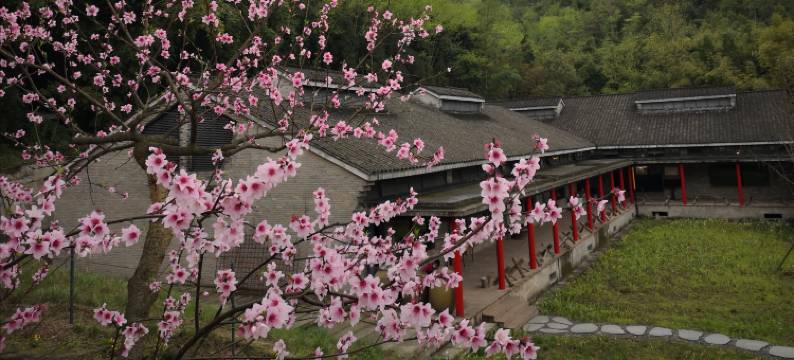 邛崃源窝子酒庄图片