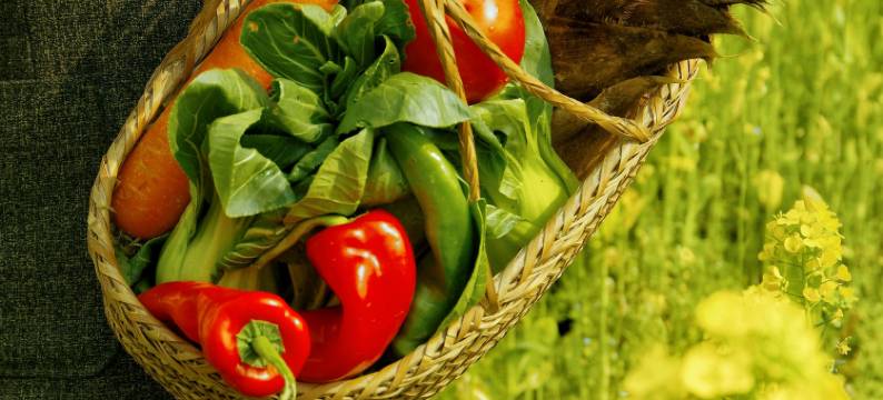 在荷间·婺源墅家百年故里西冲院图片