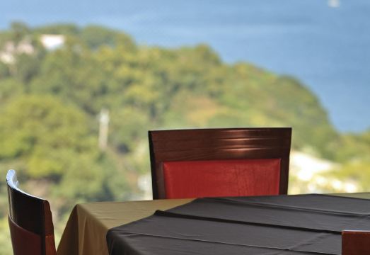 Izumigo Hotel Altia Toba Hotel Overview