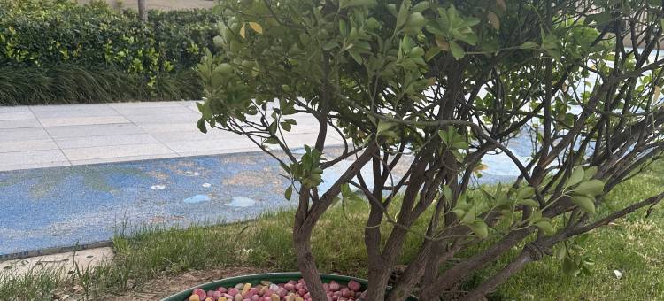 松菓观影民宿(融信城市之窗店)图片
