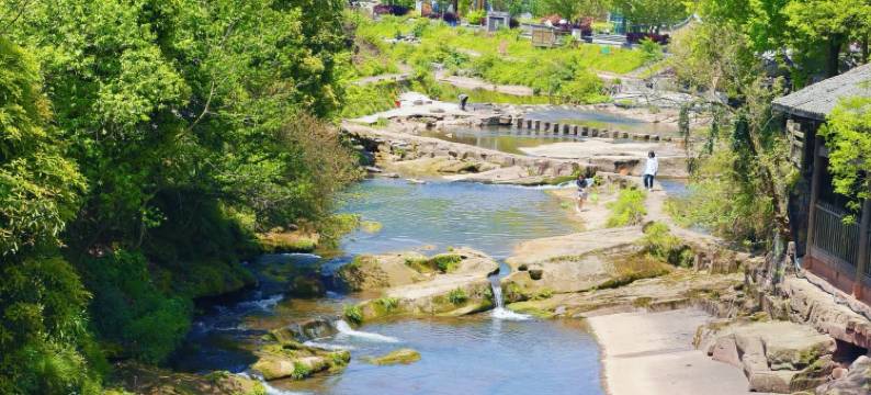 雅泉客栈(雅安上里古镇店)图片