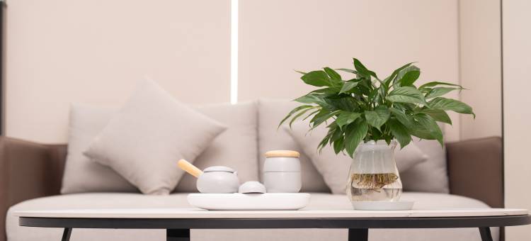 林芝聚源酒店(工布天街店)图片