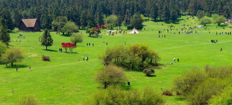 花筑·仙女山夜宴客栈(游客接待中心店)图片