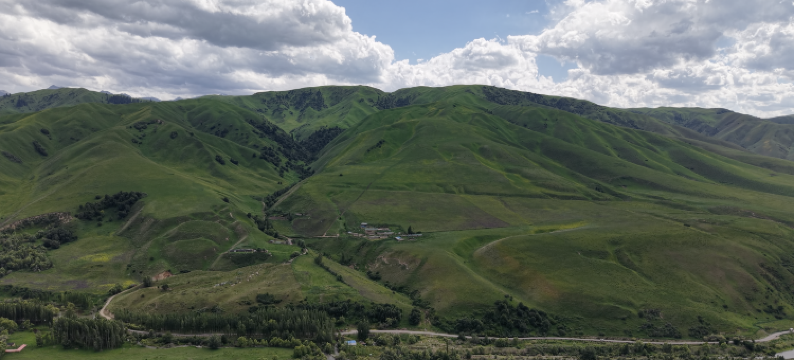 龙庭大酒店(那拉提旅游风景区店)图片