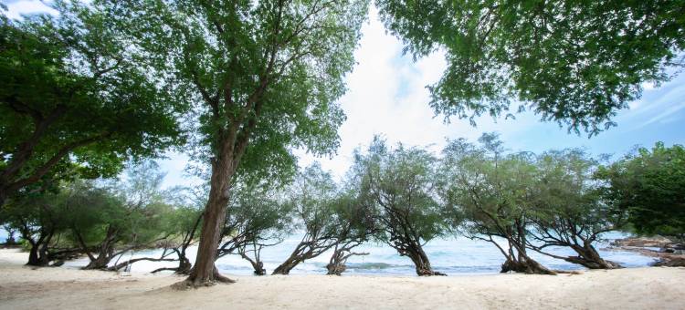 Kira Baya 沙美岛(Kira Baya Koh Samed)图片