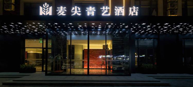 麦尖青艺酒店(沈阳张士开发区沈辽路店)图片