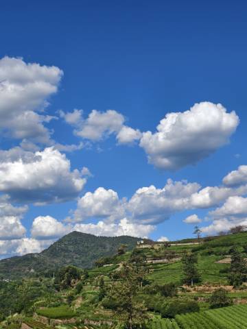 新昌起云居民宿(下岩贝村店)图片