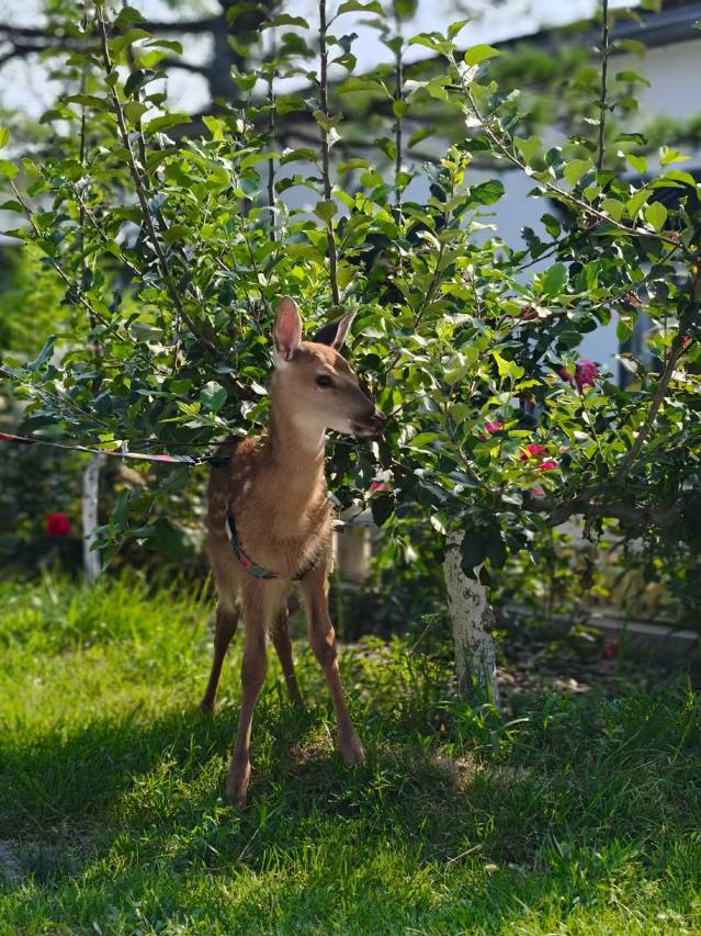 山海关58号民宿(秦皇岛山海关站店)图片