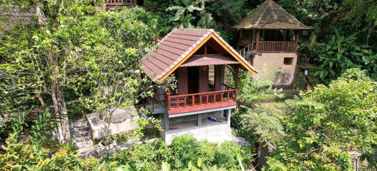 Bali Jungle Resort图片
