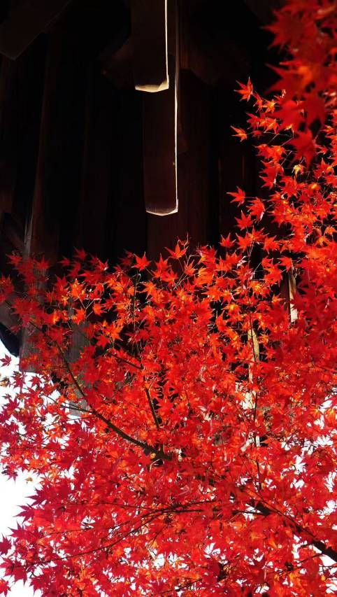 绍兴兰亭璞燊酒店图片