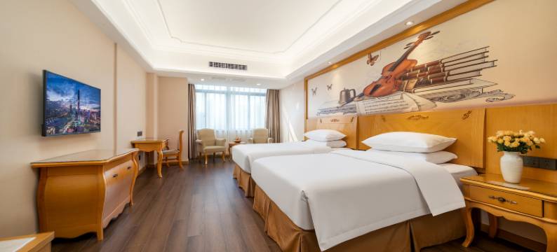 维也纳国际酒店(桂平西山店)图片