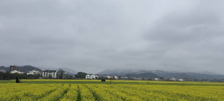 乐江尚居民宿图片