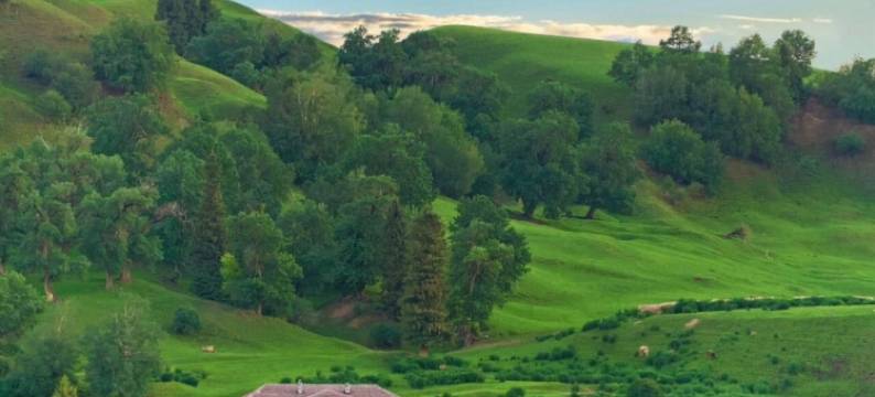 那拉提在野美宿(那拉提景区店)图片