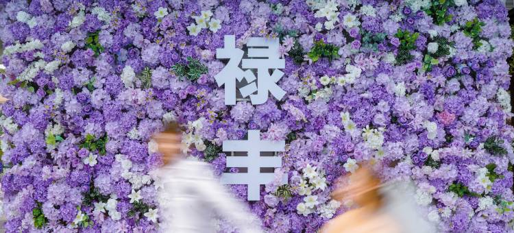 禄丰锶泉酒店图片