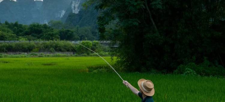 明仕山野听竹·风喃别院图片