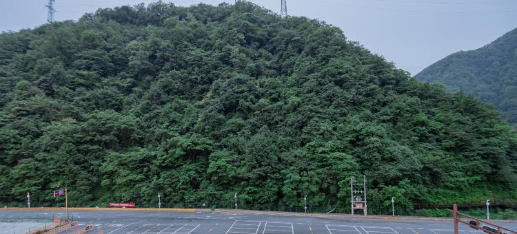 维也纳3好酒店(神农架大九湖国家湿地公园景区入口坪阡古镇店)图片