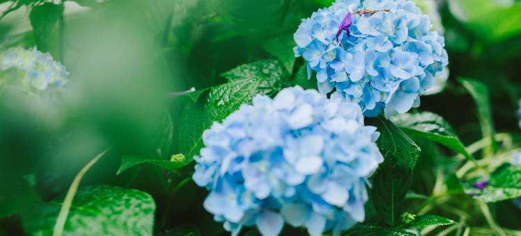 瑾庭花园·DreamLife闲度美宿(大理古城店)图片