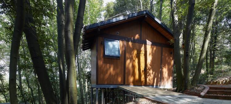 花筑·长沙木棉花山谷森林民宿图片