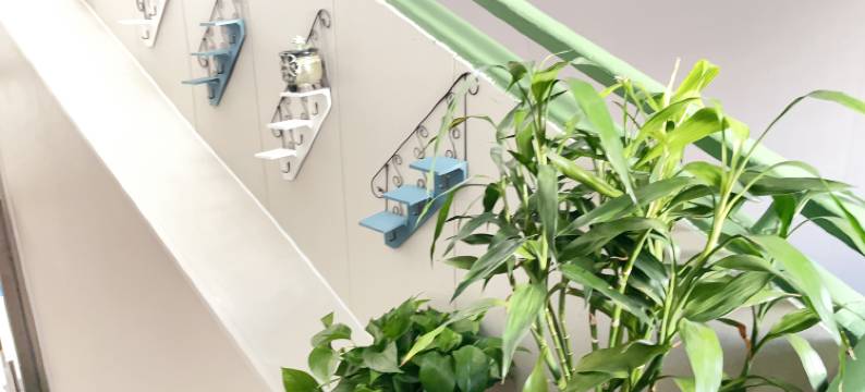 佰通精品酒店(中关村人民大学店)图片