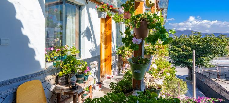 新新花园·多肉美宿家客栈(大理古城洱海店)图片