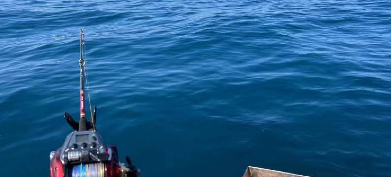 轻舟禾居民宿图片