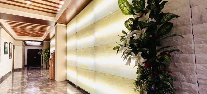 岚酒店 心斋桥店(Arashi Hotel Shinsaibashi)图片