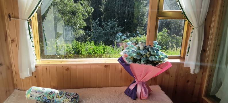 琼库什台盛开民宿图片