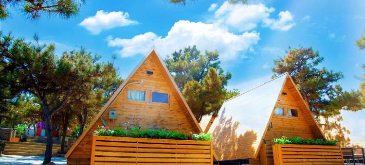 凌海市山野自在轻奢露营基地图片