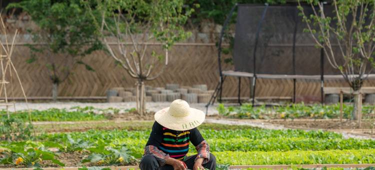 昆山阳澄湖有熊酒店图片