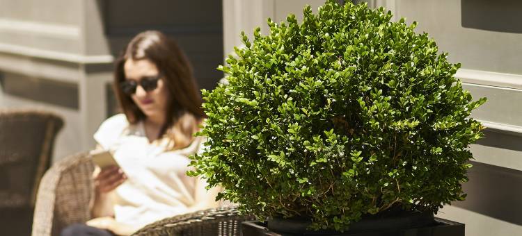 马尔克斯波尔图湾度假酒店(PortoBay Marquês)图片