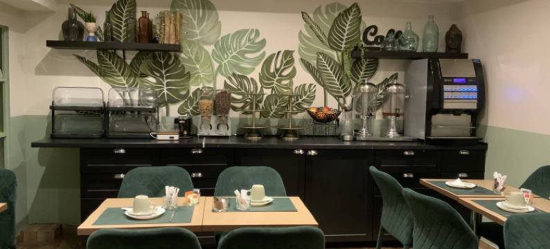 阿兰娜酒店(Hôtel Alane)图片