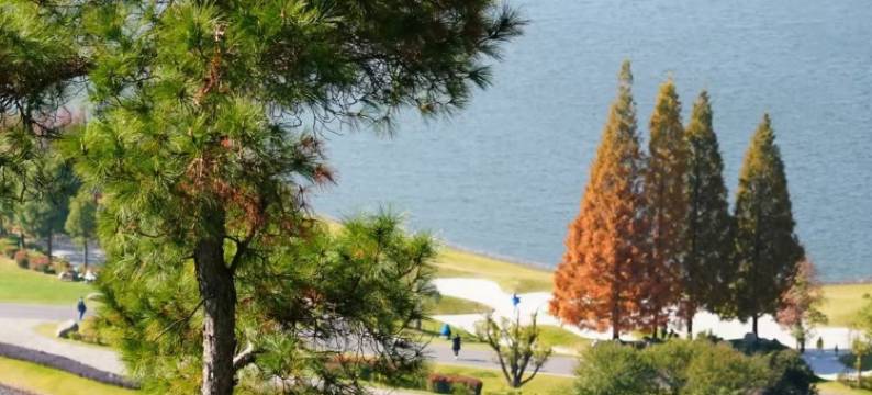 花筑·良竺设计师艺术民宿(南京牛首山景区店)图片