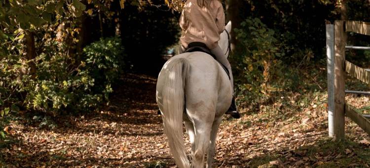 玛菲利尔城堡诺富特酒店 - 乡间别墅(Novotel Domaine de Maffliers - Demeures de Campagne)图片