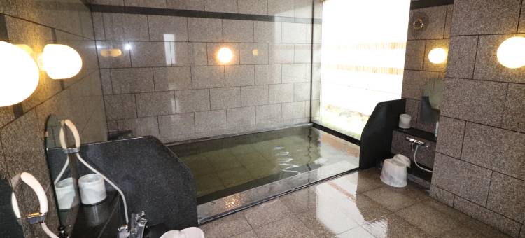 露樱酒店苫小牧站前店(Hotel Route-Inn Tomakomai Ekimae)图片